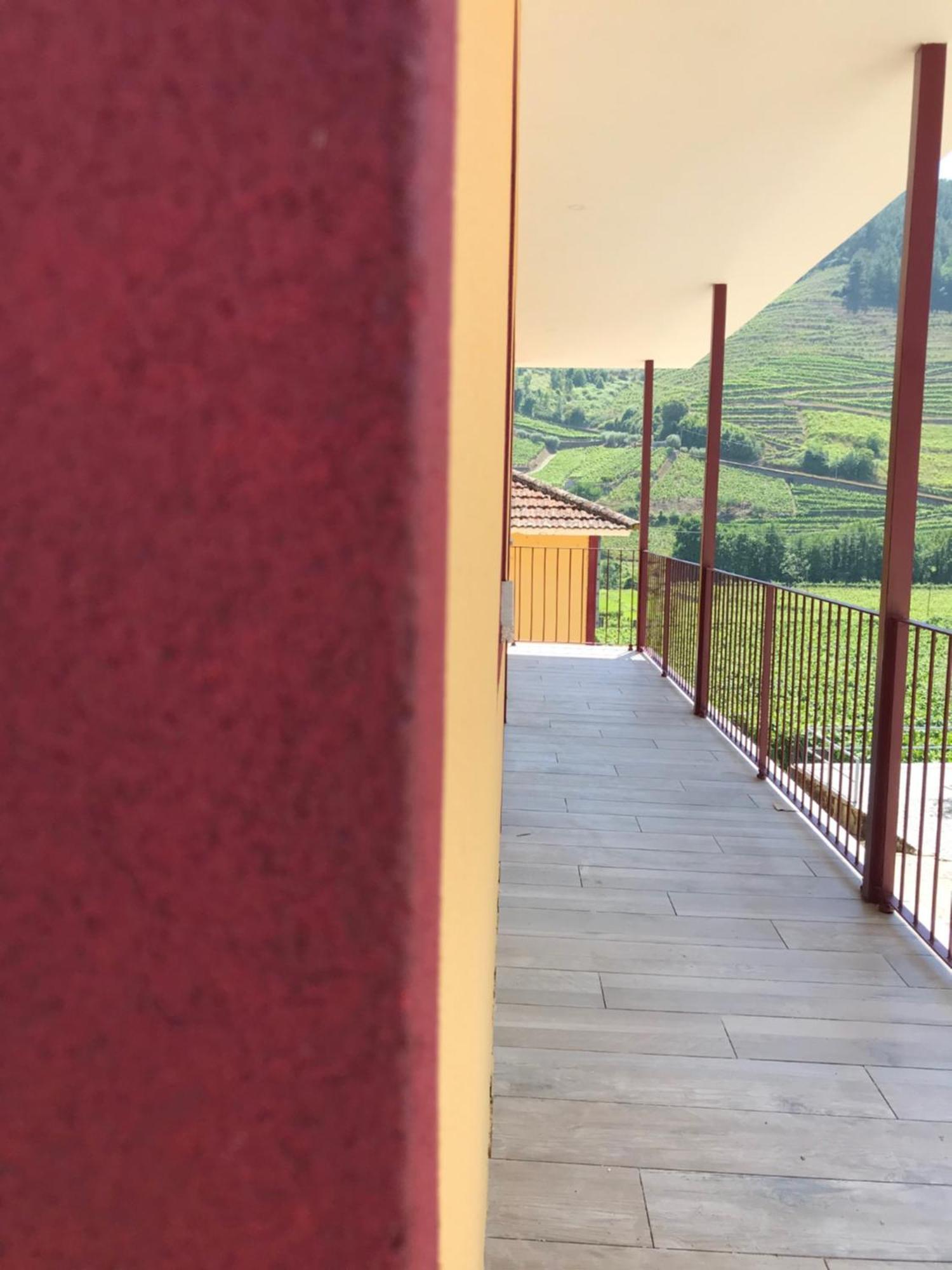 Solar Quinta Da Portela - Douro Santa Marta de Penaguião Kamer foto