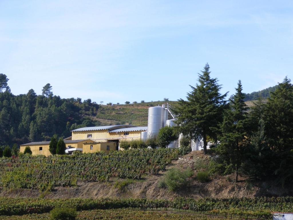 Solar Quinta Da Portela - Douro Santa Marta de Penaguião Buitenkant foto